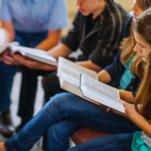 ESTUDIOS SOCIOECONÓMICOS